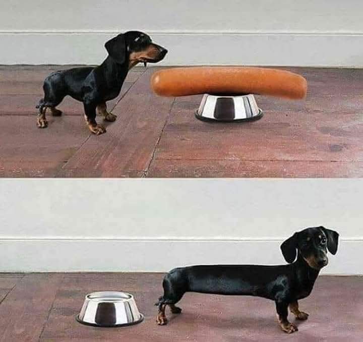 Bộ trưởng Công Thương: Việt Nam có nhu cầu nhập lượng lớn hàng Mỹ